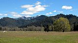 Meadow